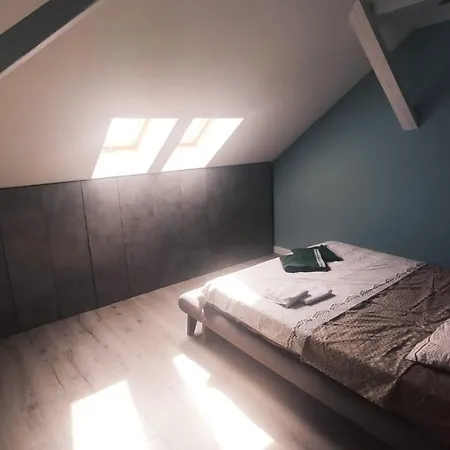 Maremi Loft With Terrace Timişoara