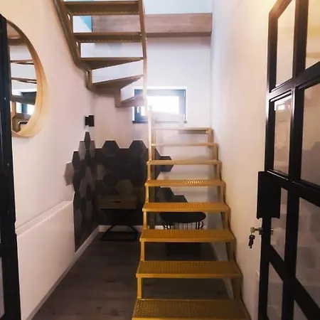 Maremi Loft With Terrace 2* Timişoara
